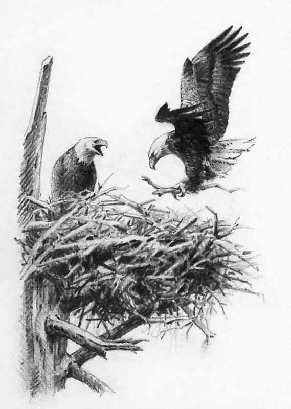 tucci - eagle's nest