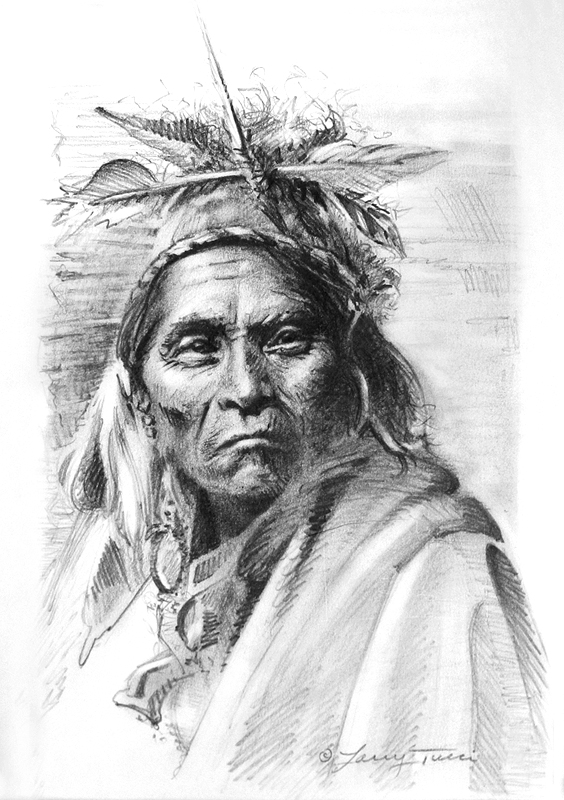 tucci - an inner fire