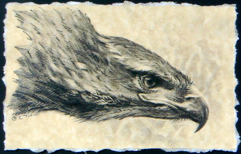 tucci - like a living fossil