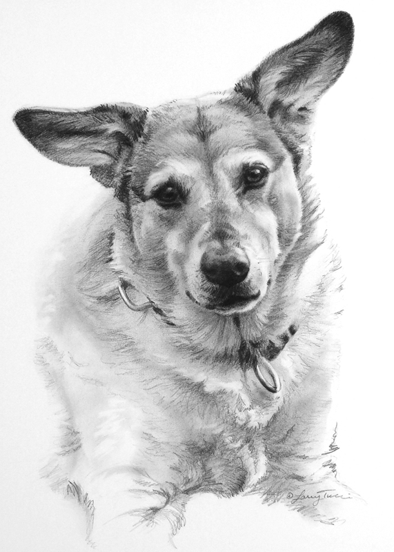 tucci - portrait of maddie