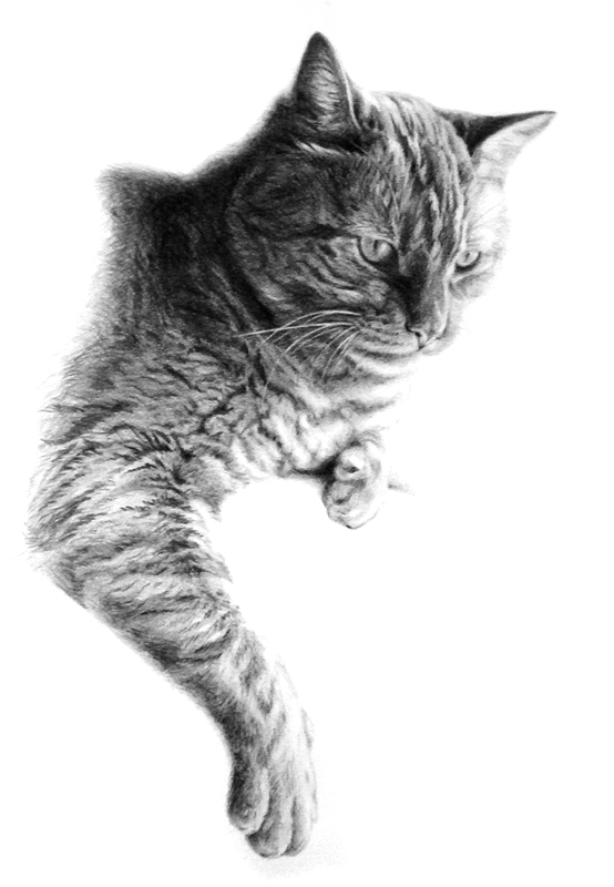 tucci - portrait of nakita