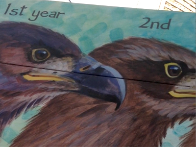 bald eagle piano top