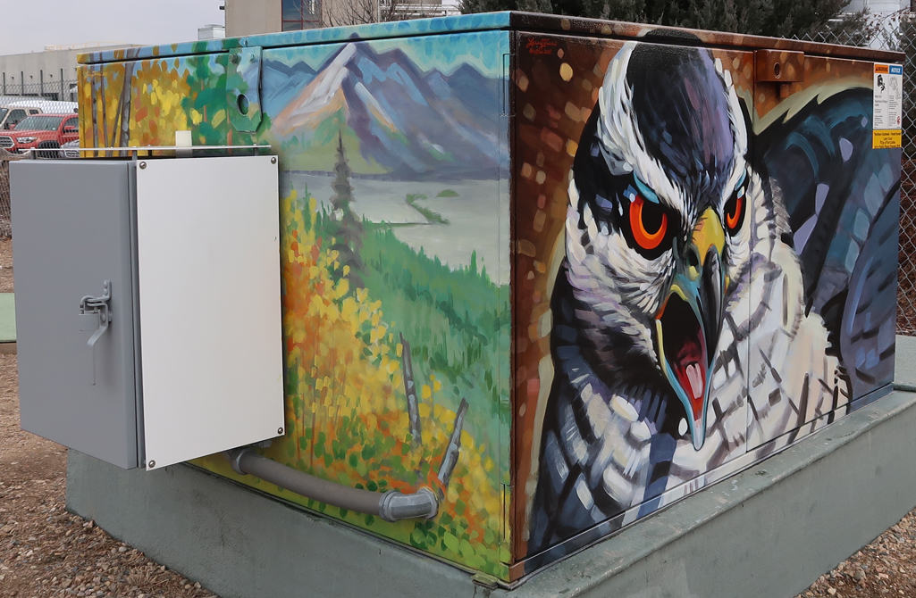 goshawk mural northwest corner