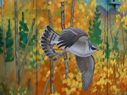goshawk mural southeast corner