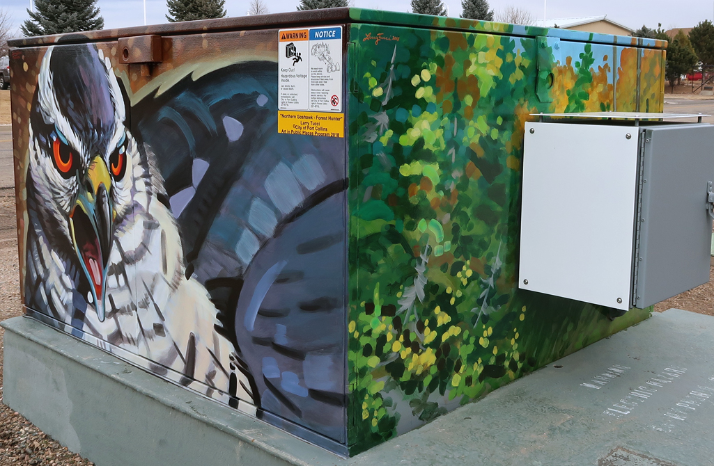 goshawk mural southwest corner