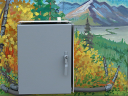 goshawk mural north side