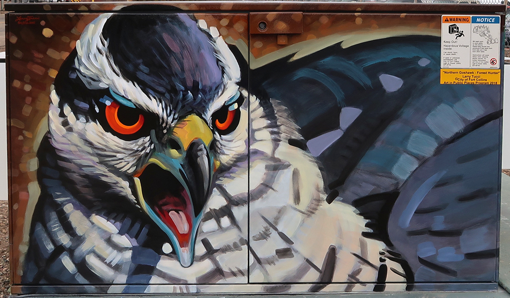 goshawk mural west side