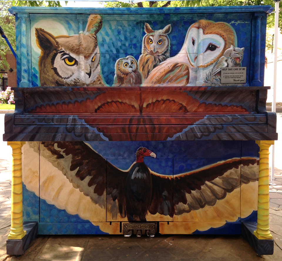 raptor piano front