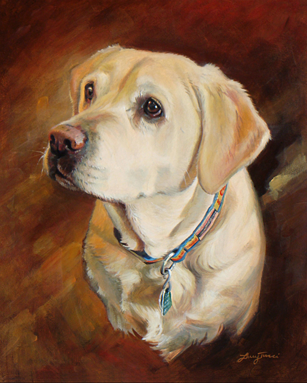 tucci - portrait of holly